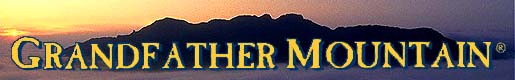 Click Here for Grandfather Mountain
