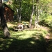 Stream running beside cabin