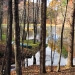 Stocked Pond