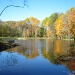 Stocked Pond behind Claty Bell Cabin