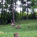 img_0202small.jpg
