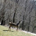 img_0275small.jpg
