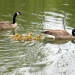 img_2184small.jpg