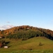 img_2472_editedsmall.jpg