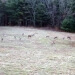 img_2708small.jpg