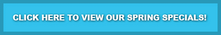 springspecialbanner