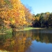 Stocked Pond at Parkway Cabins
